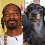 Cash Roberts - @tyson_let_me_join - Instagram