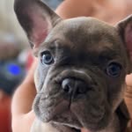 Cash Roberts - @cashroberts23 - Instagram