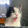 cashroberts243 - @cashroberts243 - TikTok