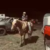 Cash Stout - @cash_121 - TikTok