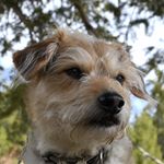 Cash Thompson Hinton Kearney - @cashmoney_thk - Instagram