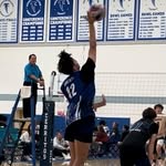 Cash 🏐 - @cash.volleyball - Instagram