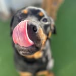 @cash_vom_creel - Instagram