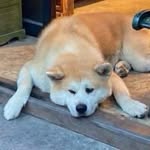 Caspar Chen - @casparzzz - Instagram