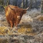Caspar Houben - @casparhouben - Instagram