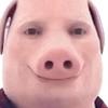 Caspar White - @cawhi - TikTok