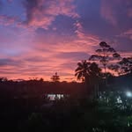 @casperackerman - Instagram