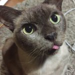 Casper Alexander - @caspurrrrr - Instagram