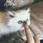 Casper Alexander - @casper4viceprez - Instagram