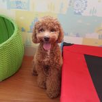 Casper Alexander Leo - @casperalexanderleo - Instagram