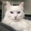 Casper Allen - @caspurrrrrrrrrrrr - TikTok