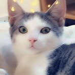 Casper Armstrong - Facebook
