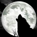 Casper Badenhorst - @badenhorst.casper - Instagram