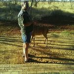 Casper Badenhorst - @badenhorst.casper.cb - Instagram