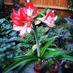 Casper Badenhorst - @caz3377 - Instagram