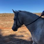 Casper - @casper_badenhorst_1973 - Instagram