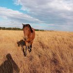 Casper hanke badenhorst - @casper__badenhorst - Instagram