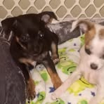Robyn Casper Baker - Facebook
