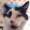 Casper - @casper.baldwin1 - TikTok