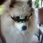 Casper - @casperbaldwin - Instagram