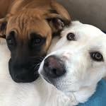 Casper | Bella - @casperbellaa - Instagram