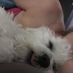 Casper Bell - @casper_bell - Instagram