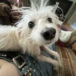 Austin - @casperblackhand - Instagram