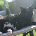 Boone & Casper - @booneandcasper - Instagram