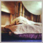 Booney - @booneycasper - Instagram