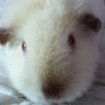 Casper Brady - @caspergirl01 - Instagram