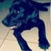 Casper Brown - Facebook