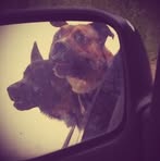 Casper Burns - Facebook