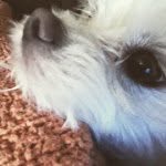Casper Cabrera - @casper_cabrera - Instagram