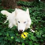 Casper Cain - @casper_cain_ - Instagram