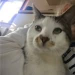 Casper Caines - @casper_cainesx - Instagram