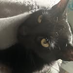 Casper Campbell - @silly_noggin12 - Instagram