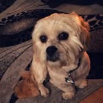 Caspercampbelloffical - @caspercampbelloffical - Instagram