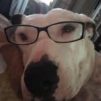 Casper Carroll - Facebook