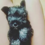 casper castillo tacuri - @caspercastiltac - Instagram