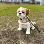 @casper_chan65 - Instagram
