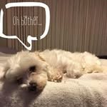 Casper Chan - @casper.chan1 - Instagram