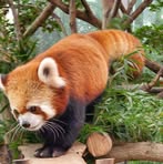 Casper Chan - Facebook