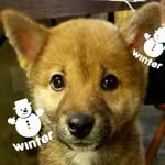 Casper Chang - @casper_218 - Instagram