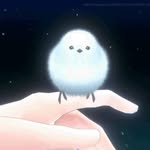 Casper Chang - @skydream_c - Instagram