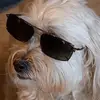 Casperlechien - @casperlechien - TikTok