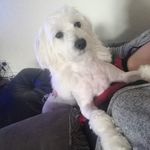 Casper clark - @casperclark3 - Instagram