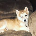 Casper Clark - @casperclark08 - Instagram