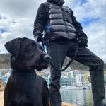 Casper Clark - @casperclarken - Instagram