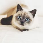 Casper Clarke - @mr_casperclarke - Instagram
