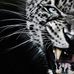 Casper Coetzee - Facebook